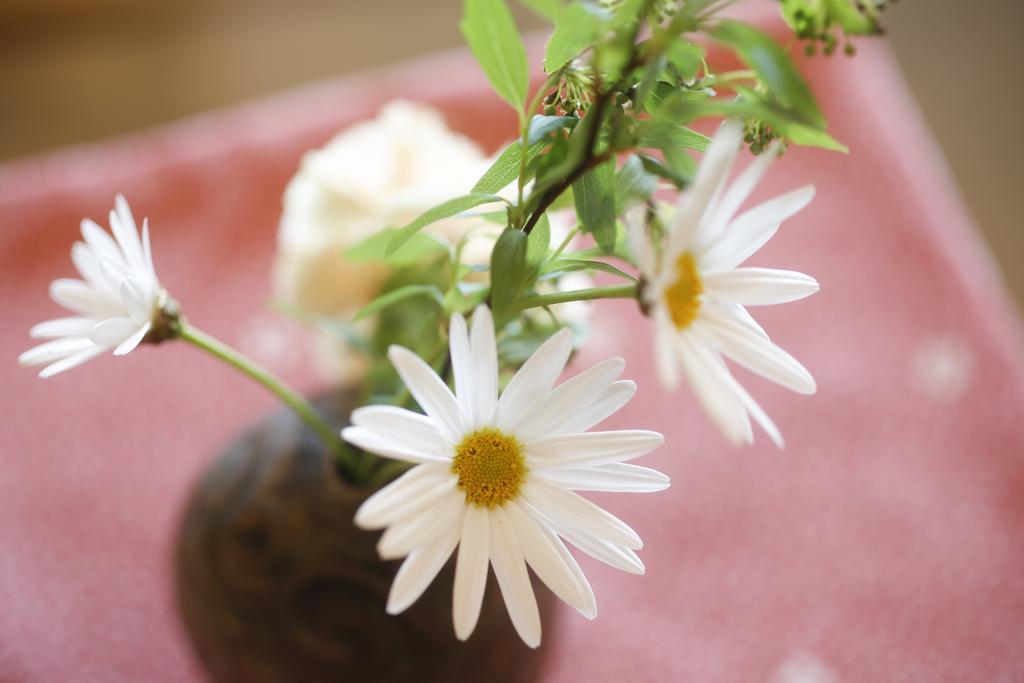 Sun Urashima Yuki No Sato Toba Exterior foto